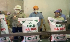Sau 3 quý lỗ liên tiếp, nhờ đâu Đạm Hà Bắc thoát lỗ ngoạn mục năm 2023?