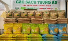 Gạo Trung An công bố báo cáo tài chính, kiểm toán từ chối đưa ra kết luận