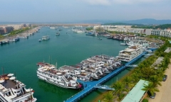 Công ty thuộc hệ sinh thái của “chúa đảo” Tuần Châu bị cưỡng chế thuế hơn 5,5 tỷ đồng