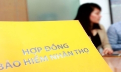 Bộ Tài chính: Sẽ thanh tra 6 doanh nghiệp bảo hiểm trong năm 2024