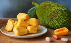 Quả mít có một bộ phân cực tốt, nhiều người “tiếc đứt ruột” vì lỡ vứt đi