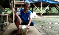 Gà 4 chân được trả 92 triệu đồng, người đàn ông vẫn không bán