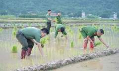 Tin tức thời sự 24h: Công an xã xuống đồng cấy lúa, sơn nhà giúp dân