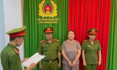 Khởi tố bị can, bắt tạm giam Đỗ Hồng Trinh
