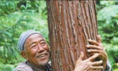 Lão nông sở hữu kho báu 900 tỷ trong vườn nhà, thương gia sắp hàng chờ đến lượt