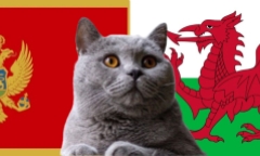 Nhận định soi kèo trận Montenegro vs Wales, Nations League 1h45 ngày 10/09: Mèo tiên tri chọn ai  