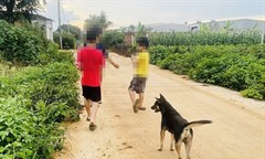 Bị chó cắn 2 lần không tiêm vắc xin, bé trai 6 tuổi ở Gia Lai tử vong vì bệnh dại