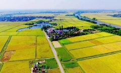 Cách xác định nhân khẩu được hỗ trợ khi thu hồi đất ruộng