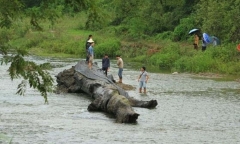 Anh nông dân phát hiện 