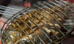 Loại cá kích thích tế bào K phát triển