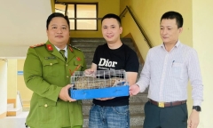 Phát hiện loài vật quý hiếm trên đường phố, người dân giao nộp cho công an