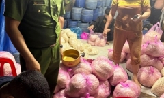 Tin tức thời sự hôm nay (1/1/2025): Phát hiện cơ sở làm giá đỗ bẩn ở Quảng Ngãi