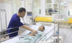 Người đàn ông nguy kịch sau khi ăn so biển có độc