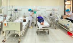 Hơn 10 người nhập viện cấp cứu sau khi bị hàng nghìn con ong khoái bay đến tấn công