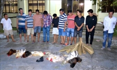 Bắt quả tang 11 đối tượng tham gia đá gà ăn tiền ở Bạc Liêu