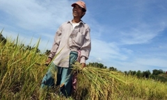 Cười vỡ bụng với cơn sốt MV “anh không đòi quà”