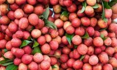 Bật mí những cách chọn vải thiều ngon ngọt, dày cùi