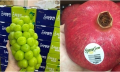 Trái cây “ngoại” nhưng giá “nội”, vì sao?