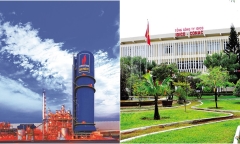DPM, CAP, BMP... chi trả cổ tức tỷ lệ “khủng” đang kinh doanh ra sao?