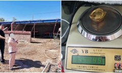 Trung Quốc: Cặp vợ chồng bảo mẫu lấy trộm thỏi vàng của chủ rồi chôn trong chuồng cừu