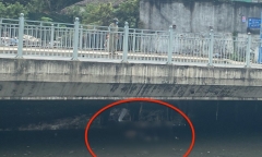TP.HCM: Tá hỏa phát hiện thi thể nam giới nổi trên kênh 
