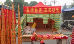 Cầu nguyện cho con thi đỗ Đại học, phụ huynh Trung Quốc suýt thiêu rụi cây ngân hạnh nghìn năm tuổi
