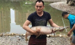 Bắt được