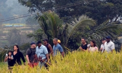 Gia đình cựu Tổng thống Obama đi nghỉ dưỡng ở Indonesia