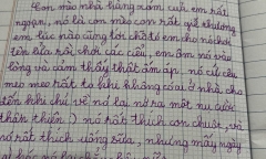 Bài văn tả chú mèo hàng xóm của bé gái tiểu học khiến cộng đồng mạng cười nghiêng ngả