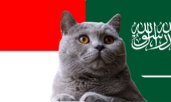 Dự đoán kết quả trận Indonesia vs Saudi Arabia, VL World Cup 19h ngày 19/11: Mèo tiên tri quyết đoán