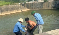 Thương tâm: Anh 16 tuổi rơi xuống kênh, em gọi người ứng cứu nhưng không kịp