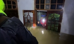 Vì sao 