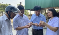 Hà Tĩnh: Xuất hiện hàng loạt trường hợp bị viêm da dị ứng do côn trùng đốt