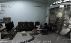 Clip: Người đàn ông la hét thất thanh khi thấy trăn khổng lồ 