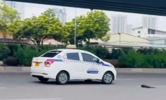 Xử lý người điều khiển xe taxi