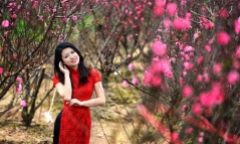 Những địa điểm chụp hình đẹp nhất Hà Nội dịp Tết Ất Mùi