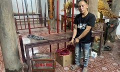 Bắt giữ tên 