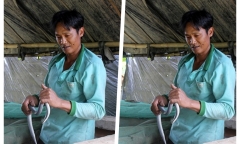 Anh nông dân thu nhập cao nhờ nuôi con vật hoang dã 