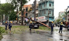 Hiện trường cây xanh bất ngờ gãy nhánh, đè lên ô tô giữa mưa dông ở TP.HCM