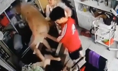 Công an vào cuộc vụ người phụ nữ ôm con nhỏ bị hành hung trong nhà ở Hà Nội
