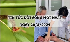 Tin tức đời sống ngày 20/8/2024: Bé 9 tuổi bị rắn cắn khi đang chơi trong nhà