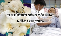 Tin tức đời sống ngày 17/8/2024: 3 người cùng một nhà nhập viện sau khi ăn nấm