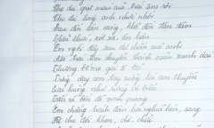 Chuyện về em gái Dương Chí Dũng và Bầu Kiên