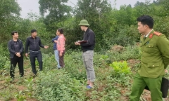 Vụ bé trai 2 tuổi 