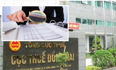 Cục Thuế Đồng Nai chuyển hồ sơ LiOA sang công an điều tra