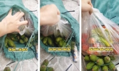 Mẹ nhắn nhủ gửi con trai 