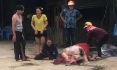 Vụ thanh niên 24 tuổi tự thiêu ở Quảng Ngãi: Mẹ khóc ngất bên thi thể con trai