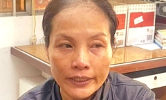 Trốn truy nã về tội môi giới mại dâm,