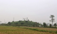 Kinh nghiệm chọn hướng nhà chung cư mà bạn cần biết