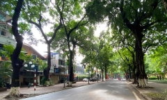 Tin tức dự báo thời tiết hôm nay 15/1: Bắc Bộ có mưa vài nơi, đêm và sáng trời rét